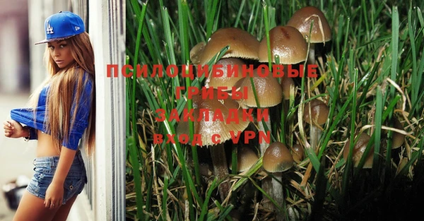 spice Лихославль