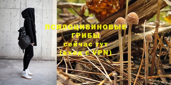 spice Лихославль