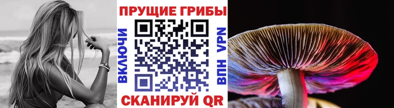 Псилоцибиновые грибы Cubensis  мега зеркало  Крым  как найти закладки 